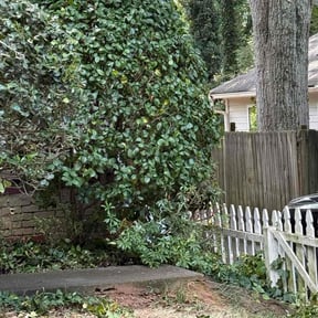 Bush Trimming by Active Do It All Lawn Care reviewed on October 19, 2025