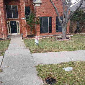 Leaf Removal by All Star Lawn Care reviewed on May 7, 2026