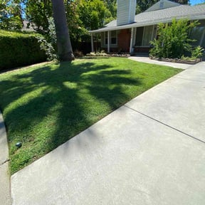 turf maintenance by A Cut Above Lawn Care reviewed on August 21, 2025