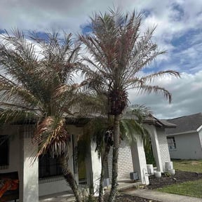 Leaf Removal by wades Landscaping reviewed on May 26, 2026