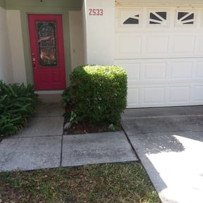 Bush Trimming by Alfas landscaping reviewed on August 18, 2025