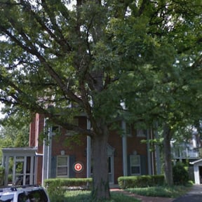 Leaf Removal by Cleanin it up reviewed on September 21, 2025