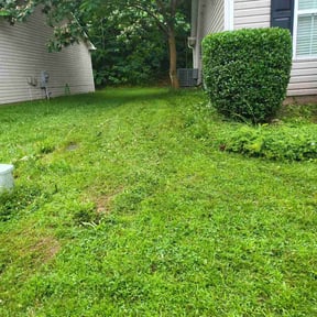 Bush Trimming by Abney's lawncare reviewed on August 18, 2025