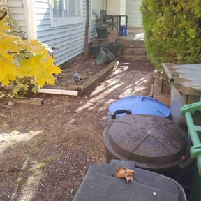 Leaf Removal by Diesel Dog Lawn Care LLC reviewed on November 7, 2025