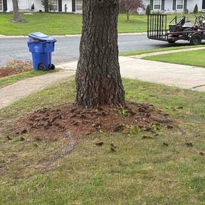 Flower Bed Weeding by Savage Lawn Cuts reviewed on August 19, 2026