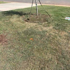 Flower Bed Weeding by Cj's lawncare reviewed on July 18, 2026