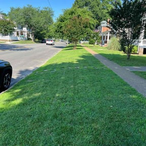 yard maintenance by G7 Enterprises LLC reviewed on August 20, 2025