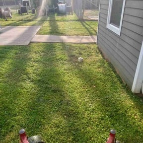 grass maintenance by Bright Lawn Landscaping reviewed on May 1, 2024
