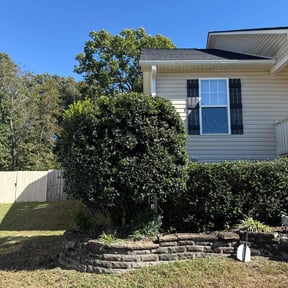 Bush Trimming by Clean cuts reviewed on November 19, 2025