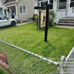 grass maintenance by Ins and Outs LLC reviewed on August 19, 2025