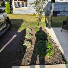 Bush Trimming by Florida Landscape &amp; Lawn Care reviewed on December 3, 2025