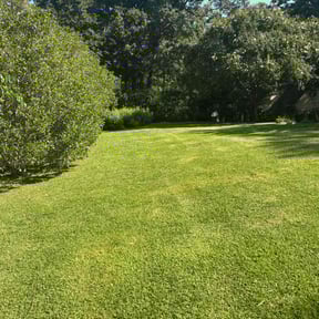 lawn service by Lawnsters  reviewed on August 17, 2025