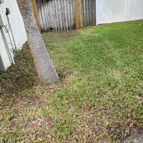 Leaf Removal by PJ’s Lawn care reviewed on September 13, 2025