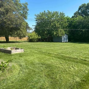 Lawn Mowing by Tansol LLC reviewed on August 17, 2025