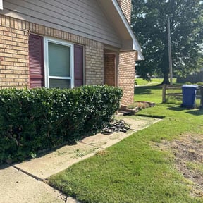 Bush Trimming by The Lawn Cypress reviewed on August 15, 2025