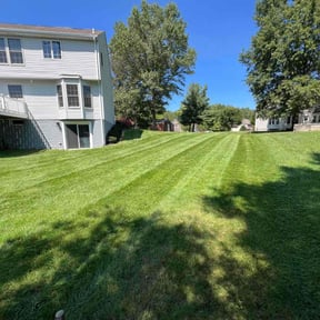 turf care by Elite Landscaping reviewed on August 1, 2025