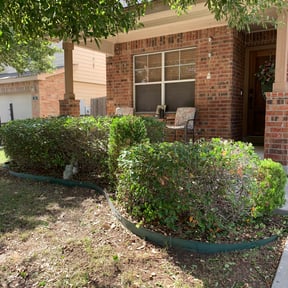 Bush Trimming by WEFIXITALLSERVICES reviewed on August 21, 2025
