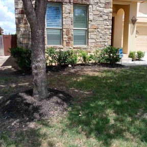 Bush Trimming by A. Shook reviewed on August 13, 2024