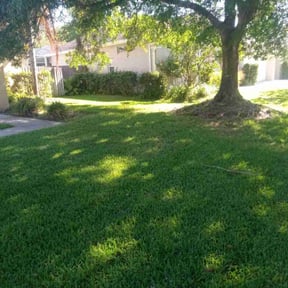 yard work by Quality Cuts Lawn Care reviewed on November 27, 2025