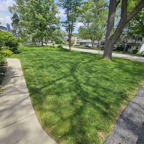 landscape maintenance by Lawn Expressions reviewed on August 17, 2025