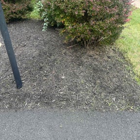 Flower Bed Weeding by Mt Washington Lawn Care reviewed on November 9, 2025