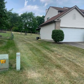Bush Trimming by Green lawn care reviewed on August 19, 2025