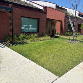 yard service by Moo's Mowing, LLC reviewed on December 17, 2025