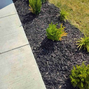 Flower Bed Weeding by Bert's Landscaping and Propery Mantienance  reviewed on April 21, 2022