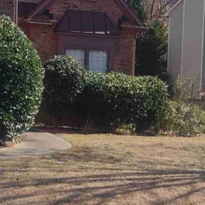 Bush Trimming by Austin Double A Contractors LLC reviewed on August 18, 2025