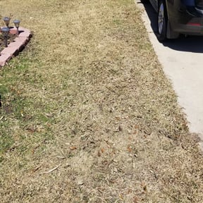 Leaf Removal by Landscaping V&amp;K. reviewed on October 1, 2025