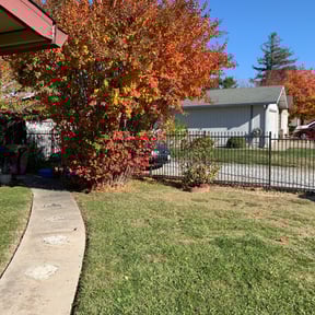 Bush Trimming by Bestway Lawn Care reviewed on April 26, 2024