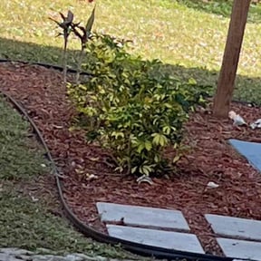 Flower Bed Weeding by Driggers Consulting &amp; Handyman Services LLC reviewed on July 6, 2023