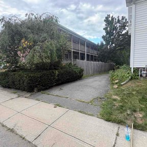 Bush Trimming by Yardly lawn care reviewed on August 15, 2026