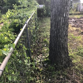 Bush Trimming by Family Lawn Care reviewed on August 20, 2025
