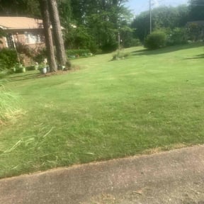 Bush Trimming by Big Horn Landscaping reviewed on August 12, 2023