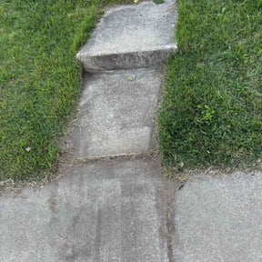 Bush Trimming by 360 Renovation Of NC INC. reviewed on November 9, 2025