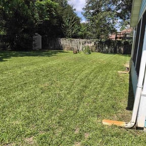 yard work by TJ&amp;J lawn service reviewed on December 17, 2025