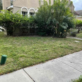 Bush Trimming by Landes Landscape reviewed on May 10, 2024