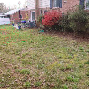 Leaf Removal by Simple Budget Cuts reviewed on September 7, 2025