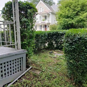 Bush Trimming by Schuetz Landscaping Services reviewed on August 19, 2025