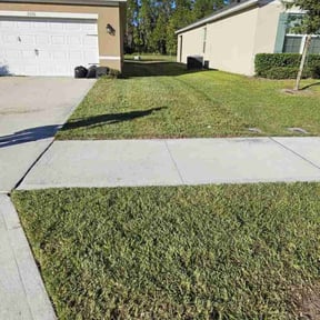 turf care by DJ landscaping reviewed on August 21, 2025