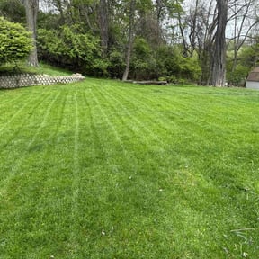 yard care by Bear Landscape & Contracting reviewed on August 21, 2025