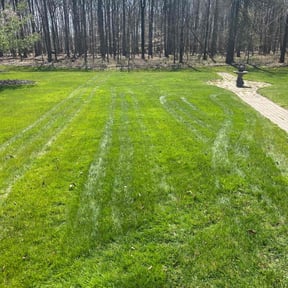 yard work by Smith's Services reviewed on August 15, 2025