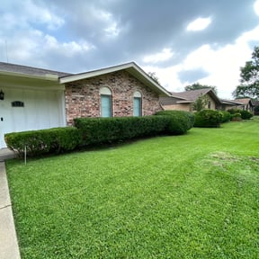 Bush Trimming by Tammy Becker Pool and Lawn Care reviewed on August 20, 2025