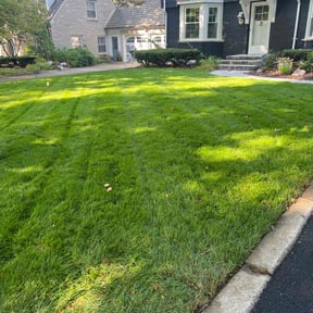 yard care by SP Landscaping reviewed on August 15, 2025