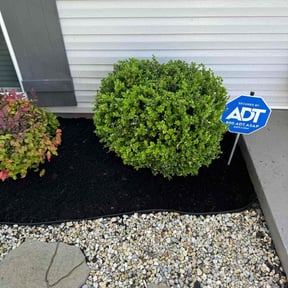 Mulching by Precision Landscaping & more reviewed on August 16, 2025