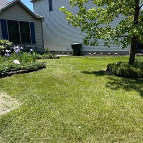 yard work by S&amp;M lawn and tree service llc reviewed on December 11, 2025