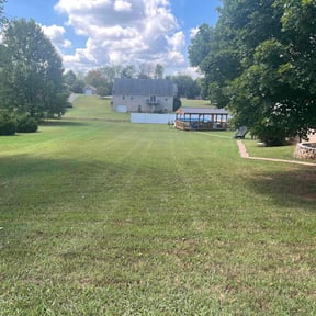 landscaping services by 66landscaping LLC reviewed on August 1, 2023