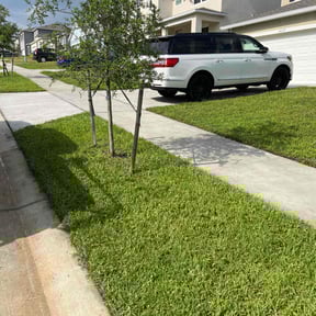 yard maintenance by Charles &amp; Sons LLC reviewed on November 24, 2025