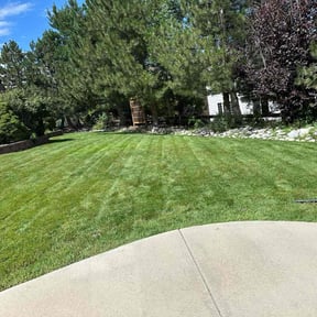 landscaping services by Connor Andrew LLC reviewed on December 13, 2025